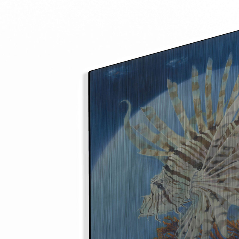 Art mural en métal Beachcrest Home ™ «Lion Fish» par Durwood Coffey, H 12 po x l 16 po