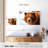 Grizzly Bear Stare-107703632