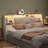 2 in 1 Bookcase Headboard With Charging Station & 2 Led Lights,Removeable Upholstered Panel-923117127-923117126
