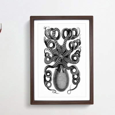 Rear of an Octopus in Black & White by George Shaw - Picture Frame Drawing Print