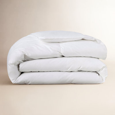 Terron Extra Plush Down Duvet Insert