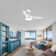 Small-CF 42'' Ceiling Fan with LED Lights
