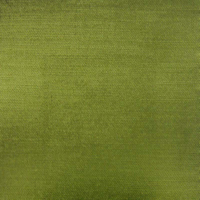 Textured Solid Velvet | Namur Fabric