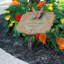 Monet Garden Butterfly Lawn Plaque-315789378-315789434