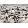 Vera Modern Cloud Nine Area Rug