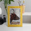 Antiono C bestles II encadré sur papier-704368258-704368270