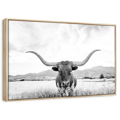 Longhorn Texas BW