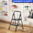 2 Step Ladder, Sturdy Steel Portable Ladder with Anti-Slip Wide Pedals, Folding Step Stool,Library Ladder,Decorative Kitchen Step Ladder