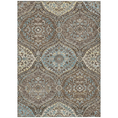 Machine Washable Indoor/Outdoor Chantille ACN2698 Global Rug