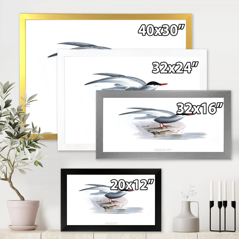 Oiseau rétro de l'Europe I - peinture sur toile, H 24 po x l 32 po x P 1 po, Cadre doré