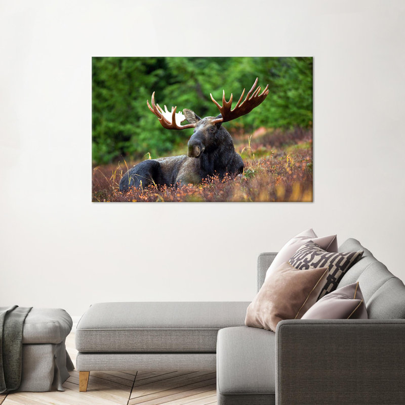Print on Canvas, 25 cm H x 35 cm W, Wrapped Canvas, Does Not Apply
