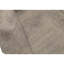 Southwestern Area Rug in Ivory