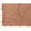 Tapis intérieur / extérieur Almaden-543887979