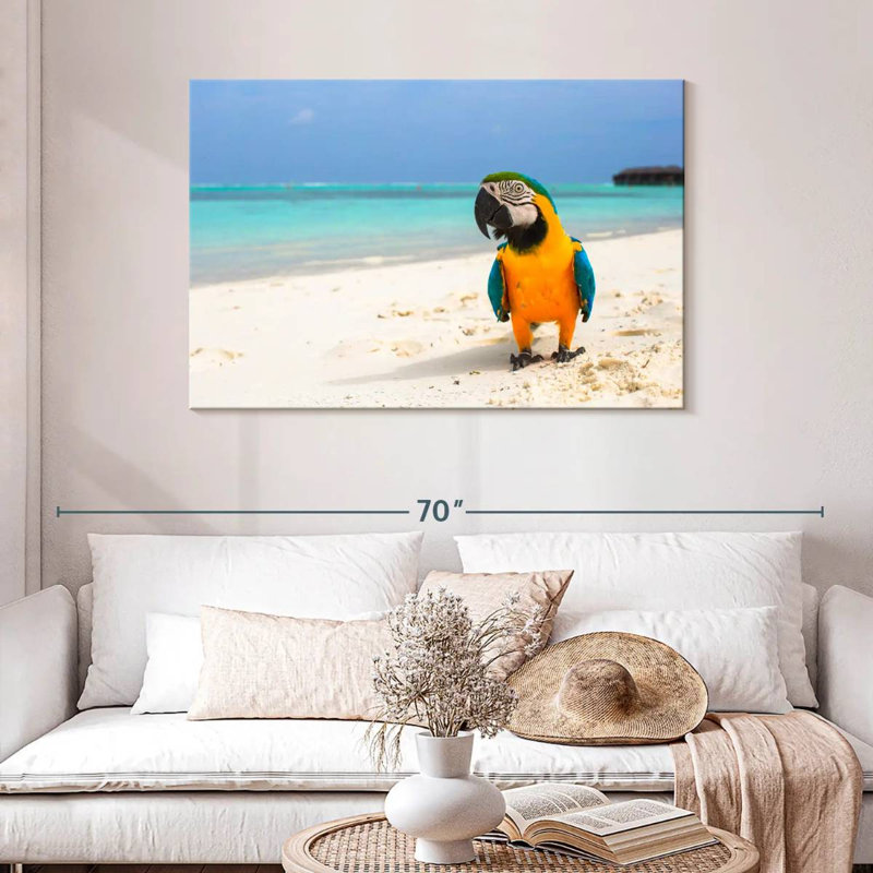 Brampt Parrot On Summer Day