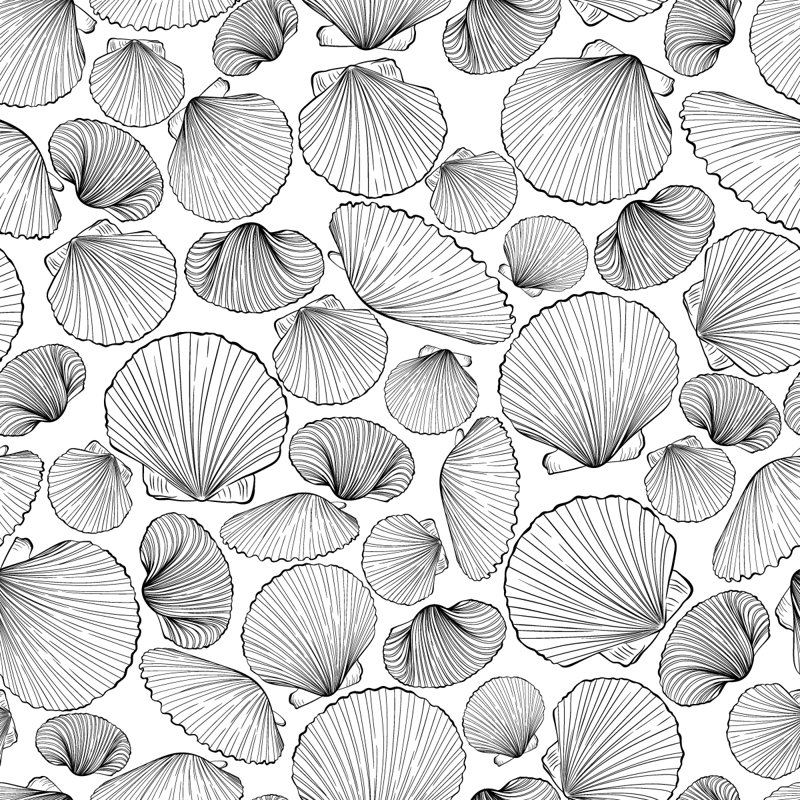 Murale à motif de coquillages Holaway, L 2,08 pi x L 10,42 pi