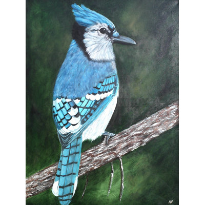 " Blue Jay " Acrylic Print