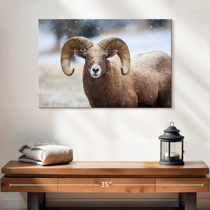 Brampt Bighorn Sheep, H 16 po x l 24 po