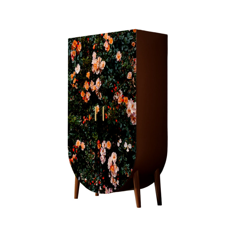Armoire haute à double porte, Noyer / multicolore