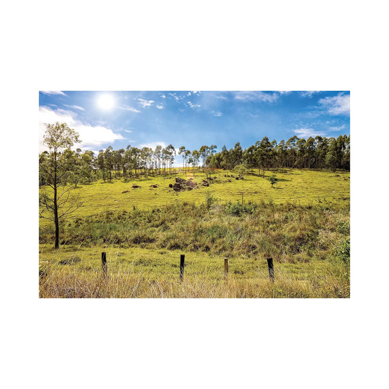Landscape 5 by Glauco Meneghelli - Wrapped Canvas Print