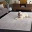 Tapis Conway Princeton Performance-22279336