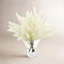 Arrangement floral Pampas dans un vase-1457981616-1457981617
