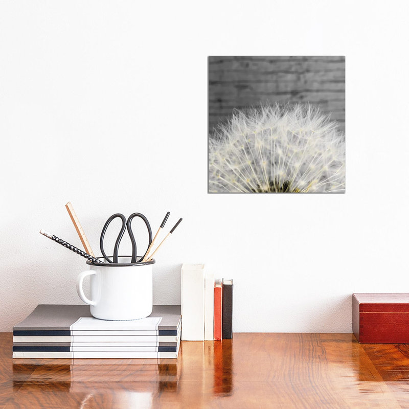 Delicate Dandelion by Aledanda - Wrapped Canvas Gallery-Wrapped Canvas Giclée, 30.48 cm H x 30.48 cm W