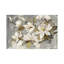 Magnolia Simplicity by Silvia Vassileva - Wrapped Canvas Painting-525659006-465488928