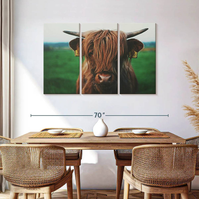 Gros plan d'une vache Highland, H 36 po x l 57 po