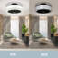 Cassiah Ceiling Fan With Led Lights