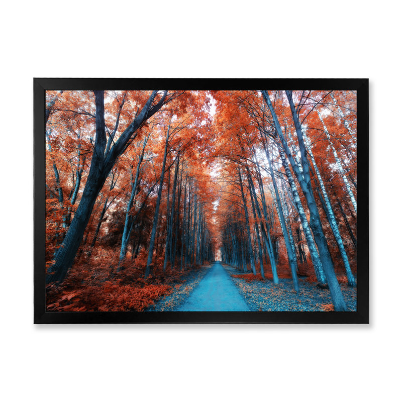 Mystic Orange Fall Forest II - reproduction d'art sur toile traditionnelle, H 34 po x l 44 po x P 1,5 po, Cadre photo noir