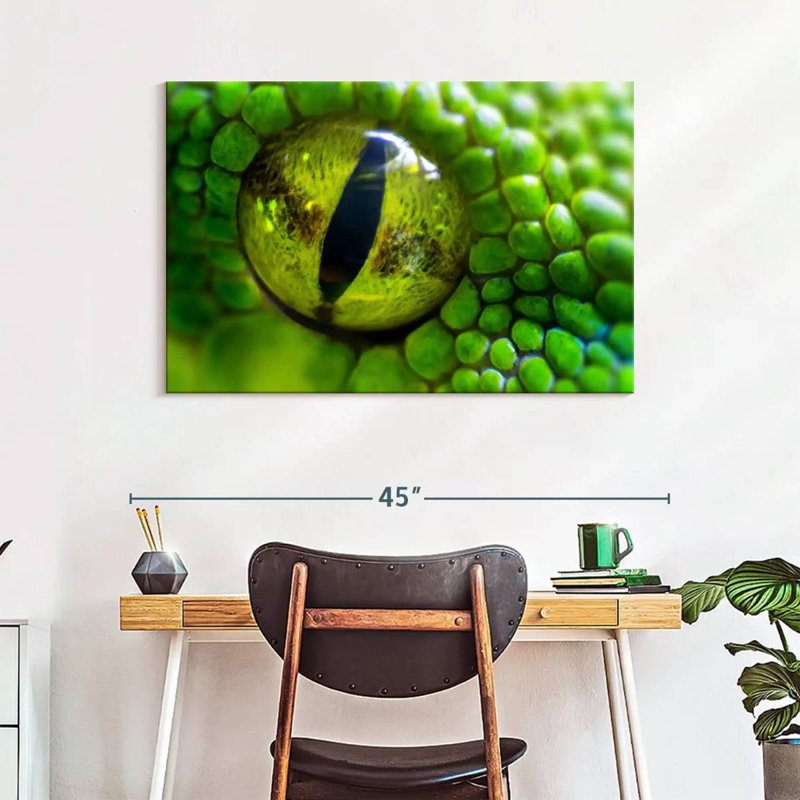 Brampt Green Python Eye, 26" H x 39" W