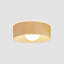 Lap Glass Flush Mount