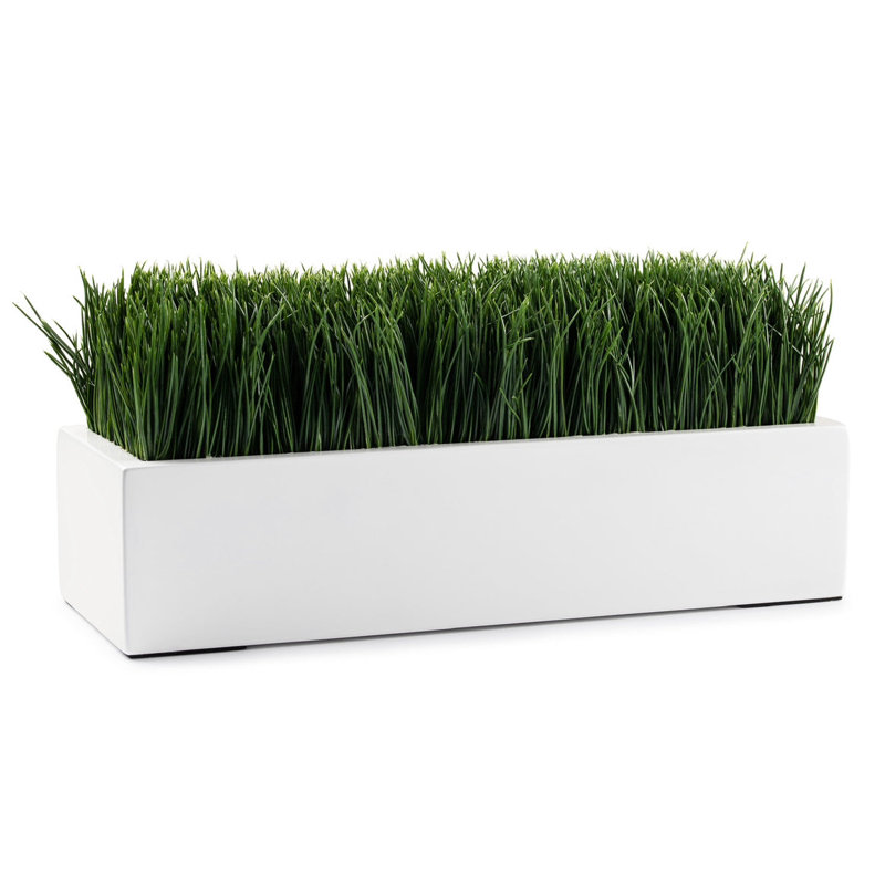 Grass White 16" Rectangle Arrangement
