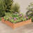 Darbara Wood Raised Garden Bed-696876539