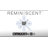 4 Watt B11 LED Reminiscent Flex Gray Coil Filament E12 Base 2700K 120 Volt