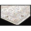 Walton Oriental Area Rug in Light Brown/Blue/Cream