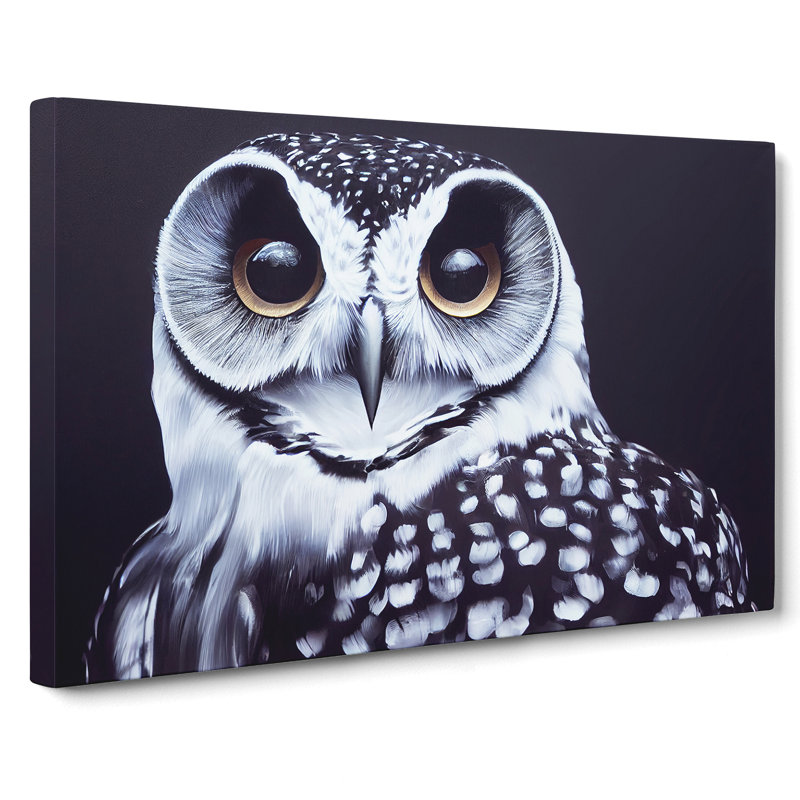 An Enigmatic Owl - Wrapped Canvas, 40cm H x 60cm W x 3cm D
