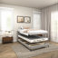 Sommier tapissier robuste de 5 po avec couvre-matelas et sommier tapissier 5 po-642202969-639854691