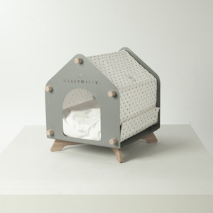 Dog House
