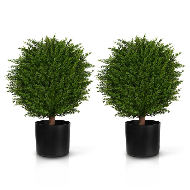 Faux cèdre 20 "en pot