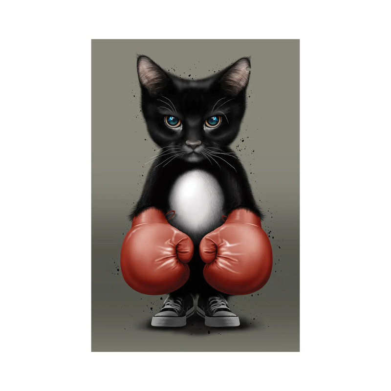 Cat Boxer 2017 by Adam Lawless - Wrapped Canvas Gallery-Wrapped Canvas Giclée, 20.32 cm H x 30.48 cm W
