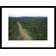 Global Gallery 'Logging Road' Framed Photographic Print | Wayfair