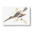 Hummingbird by Johan Teyler - Wrapped Canvas-55360083