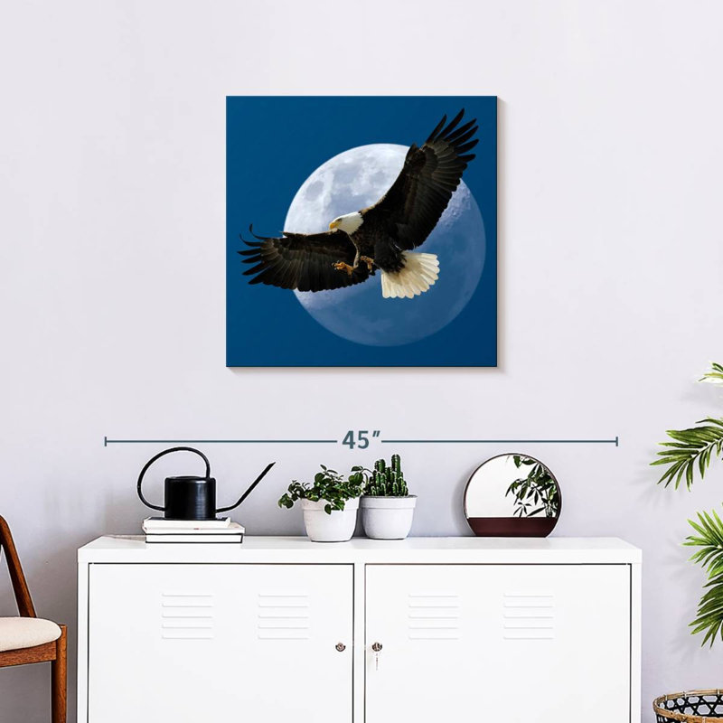 Crowle Midnight Bald Eagle, 24" H x 24" W