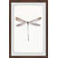 Tall Dragonfly - Single Picture Frame Painting-1252591218