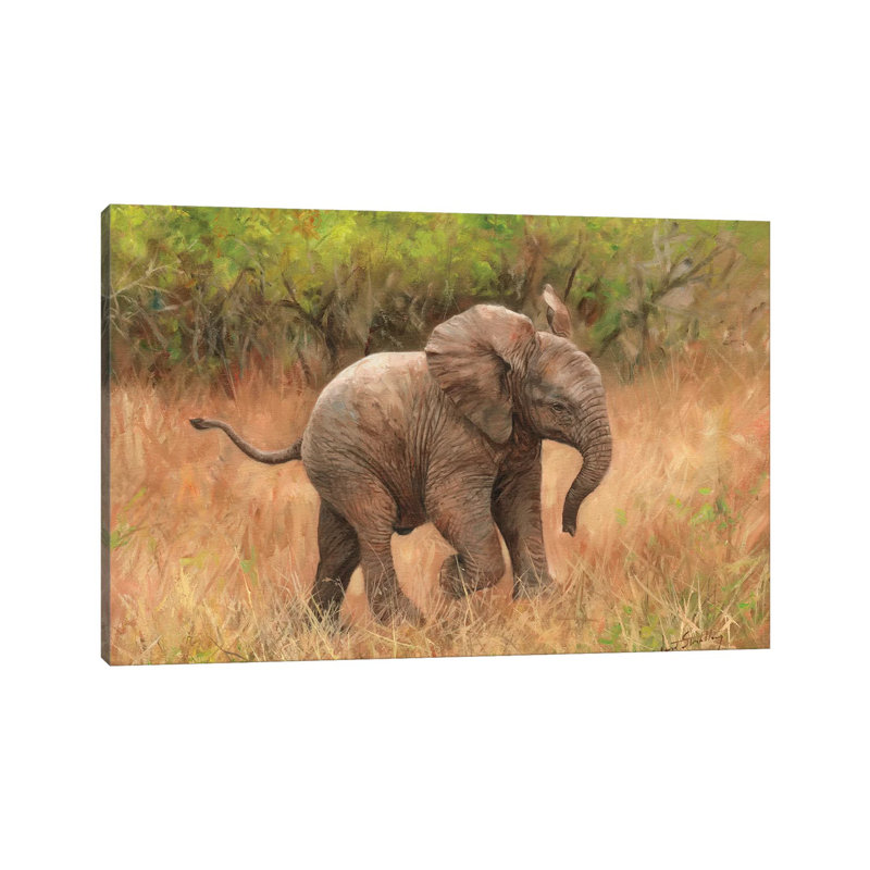 Baby African Elephant by David Stribbling - Wrapped Canvas Painting, 20.32 cm H x 30.48 cm W