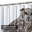 Rideau de douche Great Owl-377205172