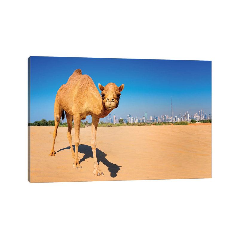 Camel In The Dessert With Dubai Skyline by Susanne Kremer - Wrapped Canvas Gallery-Wrapped Canvas Giclée
