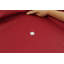 Auvent de remplacement pour abri de jardin 10 pi x 10 pi (base non incluse)-6178271