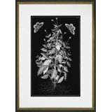 Butterfly Botanical I Print